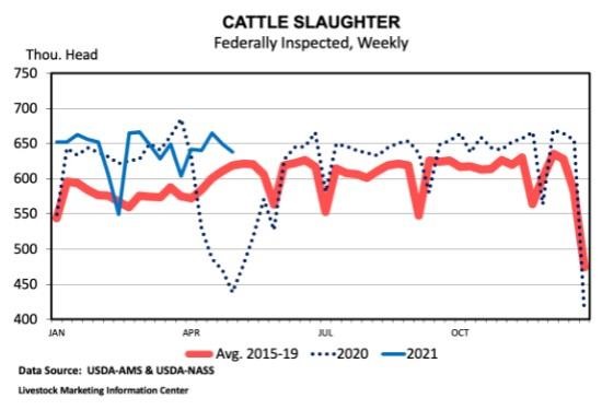 Saturday Totals and Weekly Cattle Slaughter